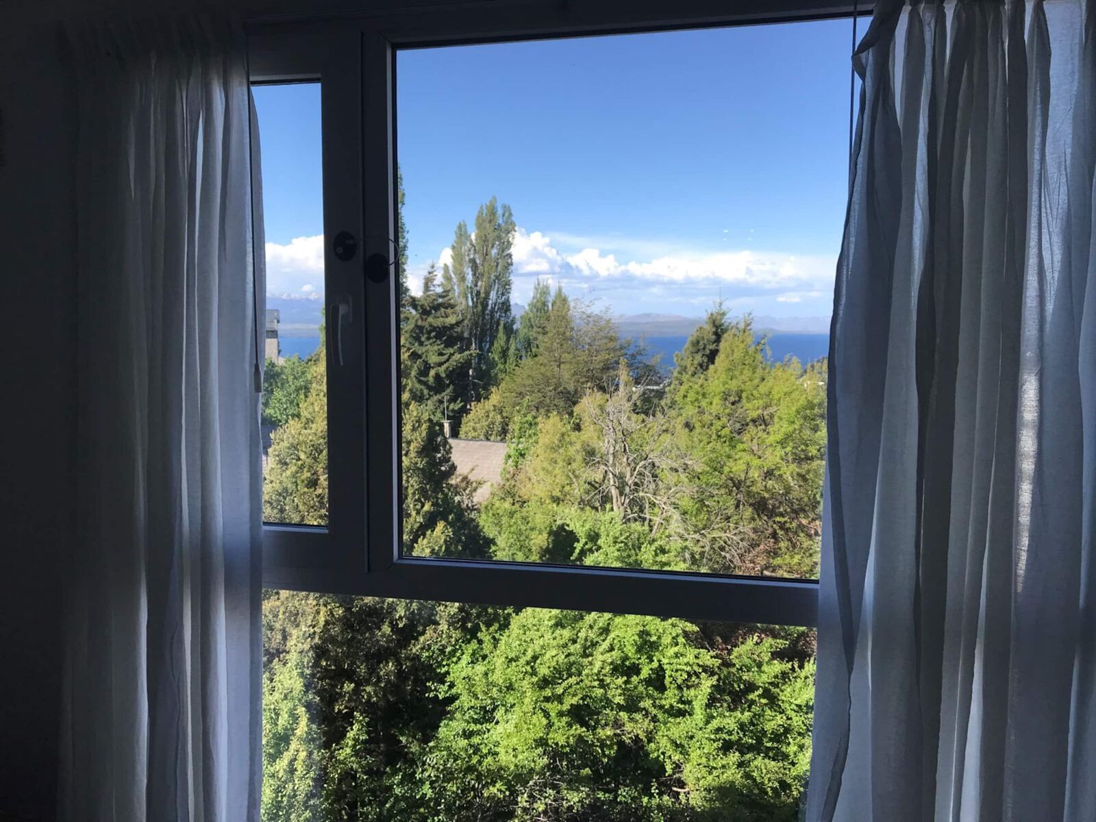 Araucaria · Vista